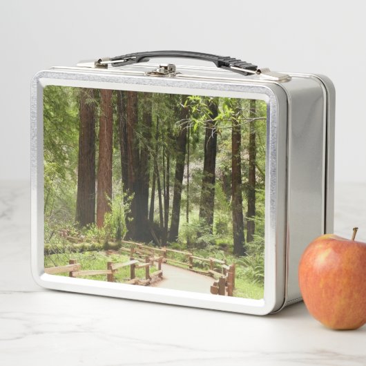 Lunch Box Muir Woods Chemin I Nature Photographie (En situation)
