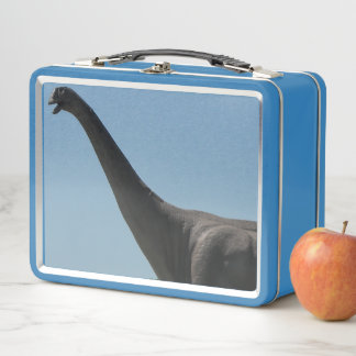 Lunch Box My Brontosaurs Dinosaur