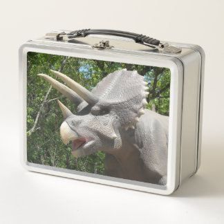 Lunch Box My Triceratops Dinosaurrs 