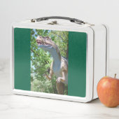Lunch Box My Tyrannosaurs Dinosaurs (En situation)