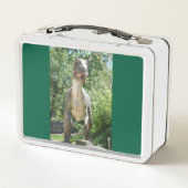 Lunch Box My Tyrannosaurs Dinosaurs (Dos)