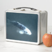 Lunch Box Nage de poissons (En situation)