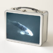 Lunch Box Nage de poissons (Devant)