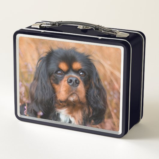 Lunch Box Noir et Tan Cavalier King Charles Spaniel Chien (Dos)