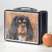 Lunch Box Noir et Tan Cavalier King Charles Spaniel Chien (En situation)