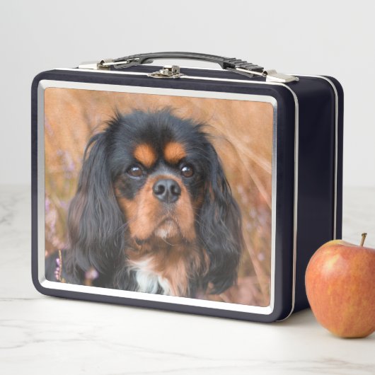 Lunch Box Noir et Tan Cavalier King Charles Spaniel Chien (En situation)