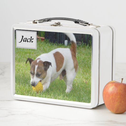 Lunch Box Nom Jack Avec Fox Terrier, (En situation)