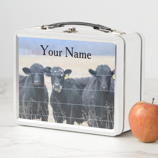 Lunch Box Observateurs de Bovine (En situation)