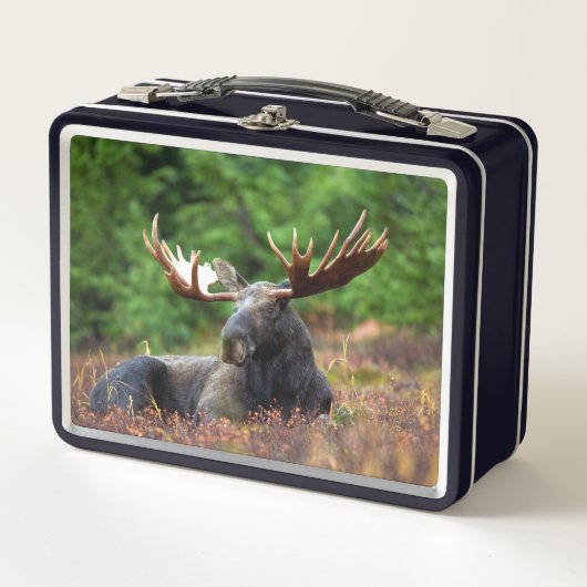 Lunch Box Oie (Devant)