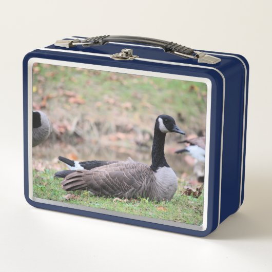 Lunch Box Oie (Devant)