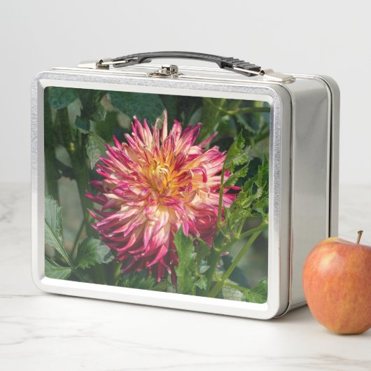 Lunch Box Orange Chrysanthemum Photographie, Beauté canadien (En situation)