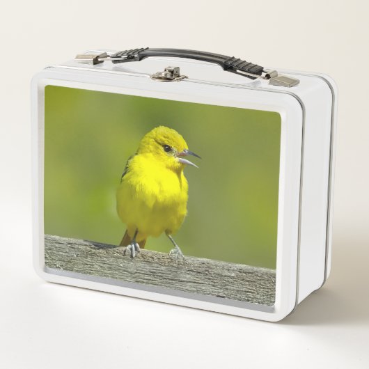 Lunch Box Orchard Oriole - Photo originale (Devant)