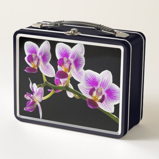 Lunch Box Orchidée blanche et violette (Devant)