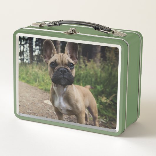 Lunch Box Oreiller à lancer de chien de taureau français (Devant)