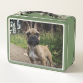 Lunch Box Oreiller à lancer de chien de taureau français (Dos)