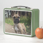 Lunch Box Oreiller à lancer de chien de taureau français (En situation)