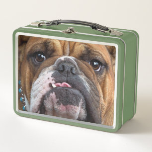 Lunch Box Oreillers à lancer de Bulldog anglais
