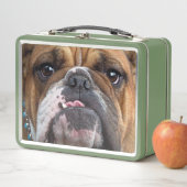Lunch Box Oreillers à lancer de Bulldog anglais (En situation)