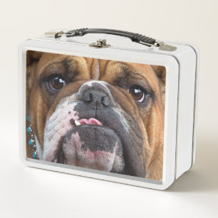 Lunch Box Oreillers à lancer de Bulldog anglais