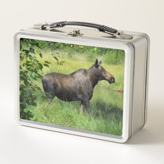 Lunch Box Orignal (Devant)