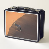 Lunch Box Oryx à la limite, Namibie (Dos)