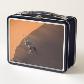 Lunch Box Oryx à la limite, Namibie (Devant)