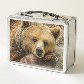 Lunch Box Ours (Dos)