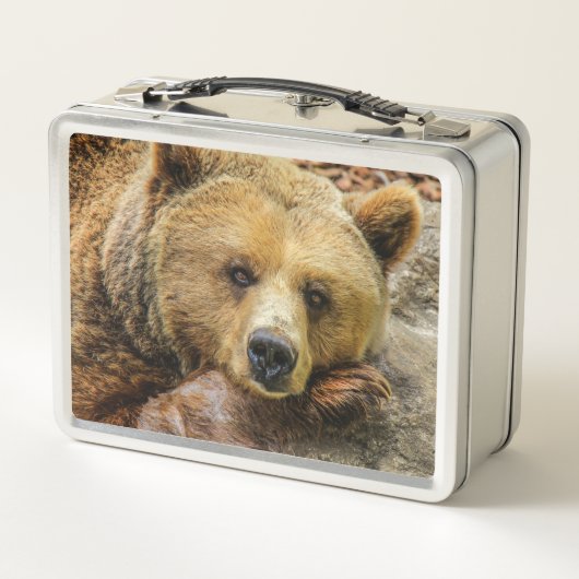 Lunch Box Ours (Dos)