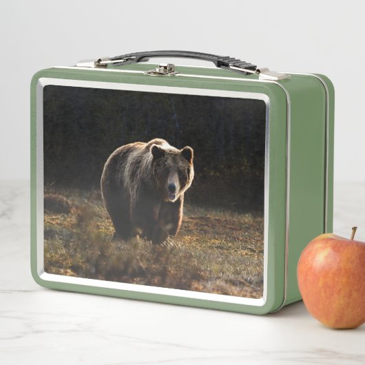 Lunch Box Ours (En situation)