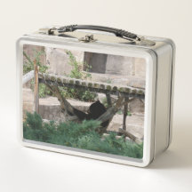 Ours d'un jour d'été paresseux dans un hamac