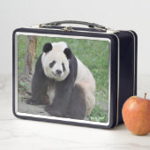Lunch Box Panda Tian Tian Boîte à lunch en métal (En situation)