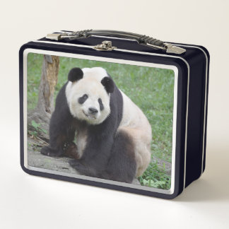 Lunch Box Panda Tian Tian Boîte à lunch en métal