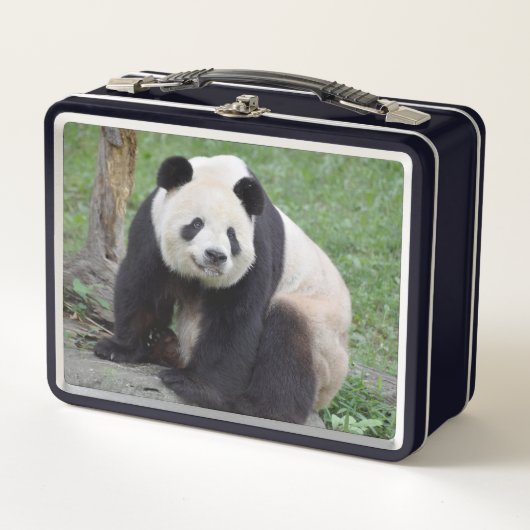 Lunch Box Panda Tian Tian Boîte à lunch en métal (Devant)