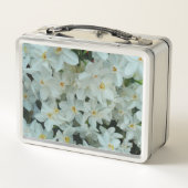 Lunch Box Paperwhite Narcissus Fleurs blanches délicates (Dos)