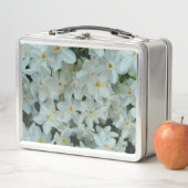 Lunch Box Paperwhite Narcissus Fleurs blanches délicates (En situation)