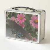 Lunch Box papillon bleu (Dos)