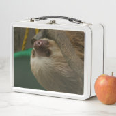 Lunch Box Paresseux (En situation)