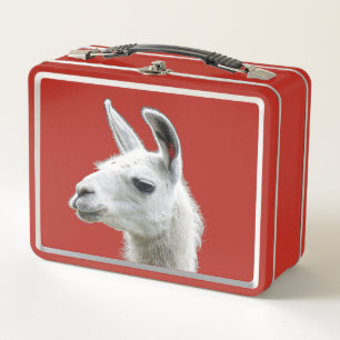 Lunch Box Peeking Llama Portrait sur un Arrière - plan rouge