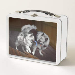 Lunch Box Peinture Keeshond Playtime - Jolie art original ch