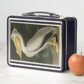 Lunch Box Pélican blanc américain, les oiseaux d'Amérique d' (En situation)