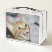 Lunch Box Penny (Dos)