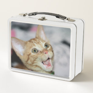 Lunch Box Penny