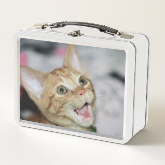 Lunch Box Penny (Devant)