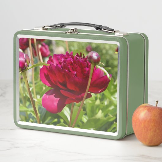 Lunch Box Peonées de velours de Maron foncé (En situation)