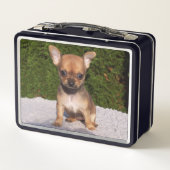 Lunch Box Petit Chihuahua Chien chiot mignon (Dos)