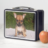 Lunch Box Petit Chihuahua Chien chiot mignon (En situation)