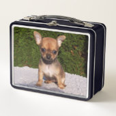 Lunch Box Petit Chihuahua Chien chiot mignon (Devant)