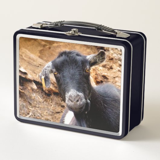 LUNCH BOX PETITE CHÈQUE CUITE (Devant)