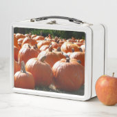 Lunch Box Photo citrouille pour automne, Halloween ou Thanks (En situation)
