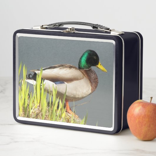 Lunch Box Photo de faune de canard colvert (En situation)